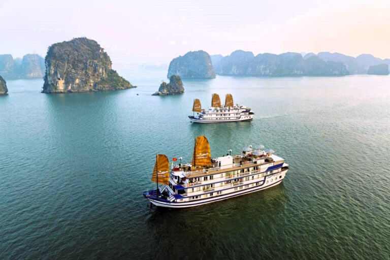 Discover Unparalleled Luxury with Signature Cruise: A Detailed Guide to Exploring Bai Tu Long Bay
