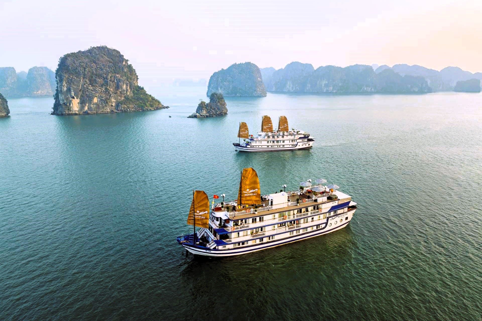 Discover Unparalleled Luxury with Signature Cruise: A Detailed Guide to Exploring Bai Tu Long Bay