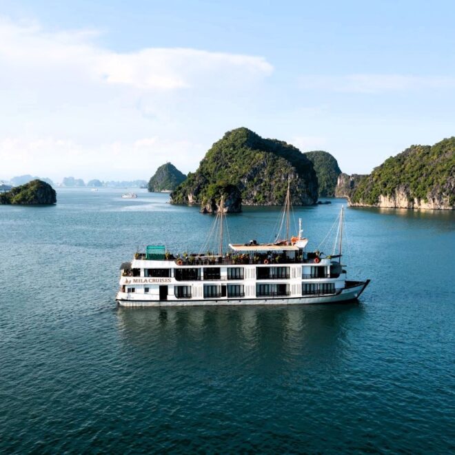Discover the Rustic Elegance of Mila Cruise by HERMES Group: Your Ultimate 2-Day or 3-Day Luxury Escape in Hạ Long Bay