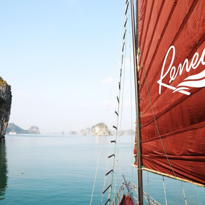 Renea Cruise – The Ultimate Boutique Escape in Bai Tu Long Bay