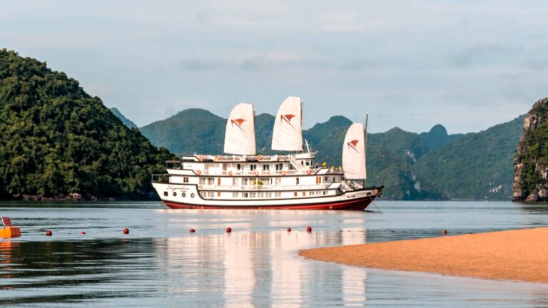 Signature Cruise – The Ultimate Boutique Escape in Bai Tu Long Bay