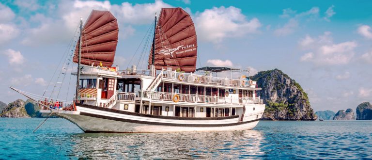🦢 Swan Cruise Review: The Most Authentic & Affordable Boutique Experience in Bai Tu Long Bay